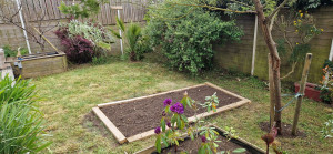 Photo de galerie - Nettoyage, rafraîchissement de jardin
