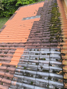 Photo de galerie - Couverture - Toiture