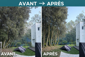 Photo de galerie - élagage des arbres, taillage des arbustes 