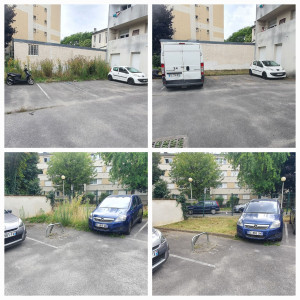 Photo de galerie - Tonte de pelouse - Débroussaillage