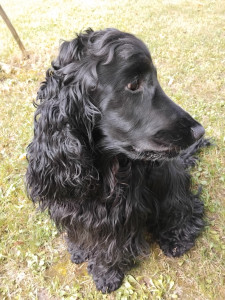 Photo de galerie - Un pensionnaire 