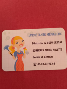 Photo de galerie - Femme de ménage expérimenté dans les alentours de Benfeld.