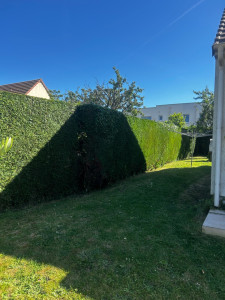 Photo de galerie - Après taille 