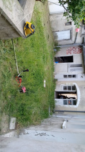 Photo de galerie - Désherbage en cours 