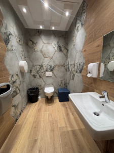 Photo de galerie - Réalisation d’un wc pour femmes : pose artistique personnalisée avec lames imitation bois + hexagones à motifs 