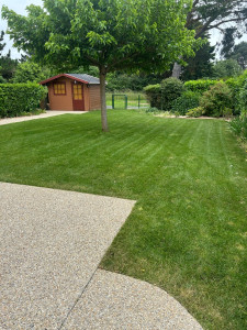 Photo de galerie - Tonte 