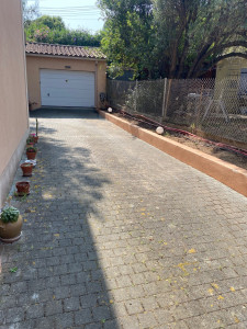 Photo de galerie - Elagage et coupe d'arbres