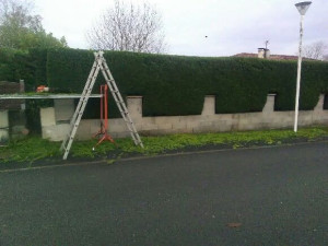 Photo de galerie - Paysagiste - Aménagement du jardin