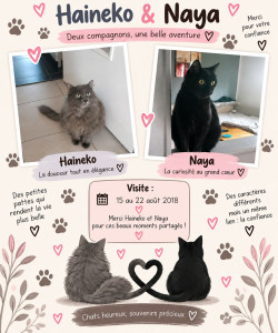 Photo de galerie - Garde chat