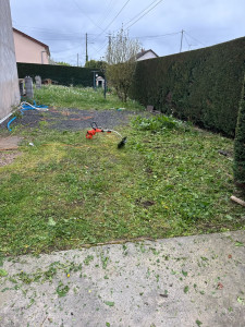 Photo de galerie - Tonte de pelouse - Débroussaillage