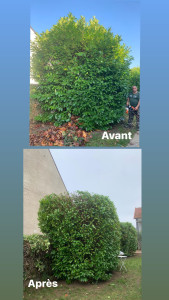 Photo de galerie - élagueur professionnel depuis 25ans 
élagage- nettoyage 
entretien de jardin 
abattage d'arbre dangereux 
taille de hait 
enlèvement de végétaux 
nettoyage gouttière 
déplacement est devis gratuit 