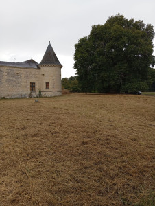 Photo de galerie - Entretien des espaces verts du château 