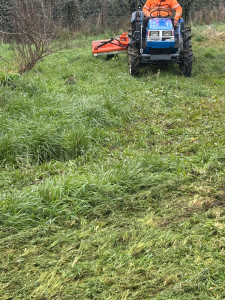 Photo de galerie - Débroussaillage et nettoyage des ronciers 