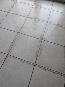 Photo de galerie - Nettoyage joint carrelage nettoyeur vapeur 