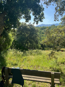 Photo de galerie - Avant