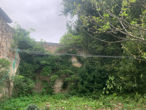 Photo de galerie - Taille de haies et d'arbustes