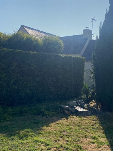 Photo de galerie - Taille de haies et d'arbustes