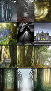 Photo de galerie - Photographe