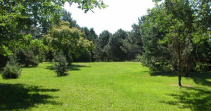 Photo de galerie - Tonte et débroussaillages