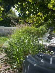 Photo de galerie - Jardinier 