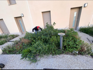Photo de galerie - Paysagiste - Aménagement du jardin