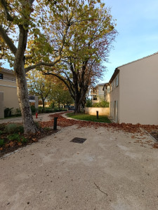 Photo de galerie - Ramassage feuilles: saison l’automne  
