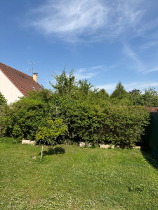Photo de galerie - Taille avant 