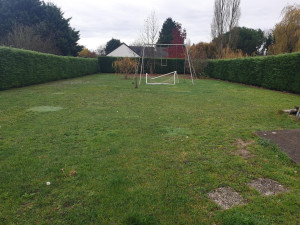 Photo de galerie - Taille de haie