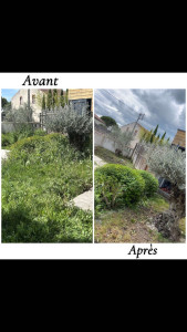 Photo de galerie - Jardin 