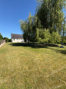 Photo de galerie - Tonte 