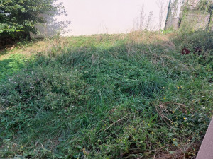 Photo de galerie - C'est avant la coupe 
