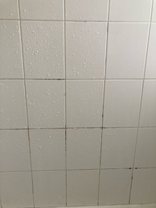 Photo de galerie - Ménage