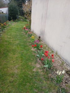 Photo de galerie - Jardinier