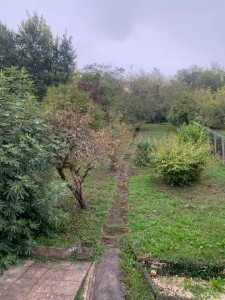 Photo de galerie - Taille de haies et d'arbustes