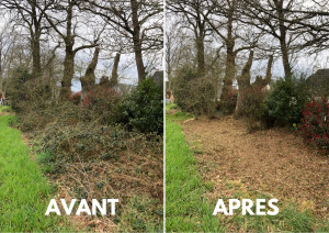 Photo de galerie - Tonte de pelouse - Débroussaillage