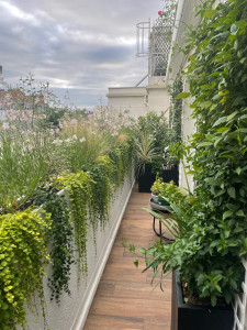 Photo de galerie - Paysagiste - Aménagement du jardin