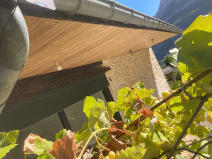 Photo de galerie - Débord de toit complet d’un maison