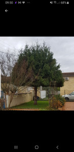 Photo de galerie - Après