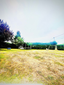 Photo de galerie - Tonte 2000m2