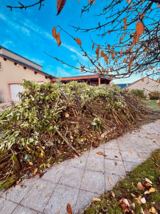 Photo de galerie - Avant 