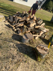 Photo de galerie - Cour bois 