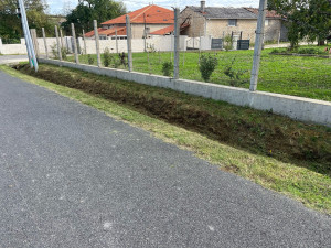 Photo de galerie - Tonte de pelouse - Débroussaillage