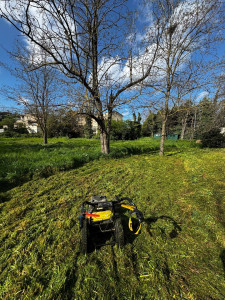 Photo de galerie - Défrichage réalisé sur un terrain envahi par la végétation afin de le remettre en état et préparer les futurs aménagements paysagers.