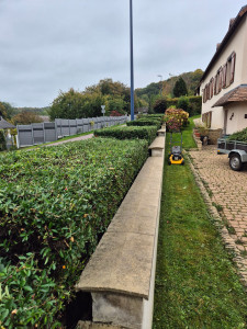 Photo de galerie - Entretien haie + pelouse