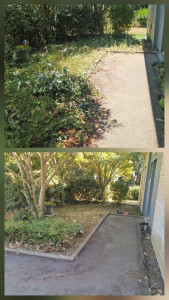 Photo de galerie - Tonte de pelouse - Débroussaillage