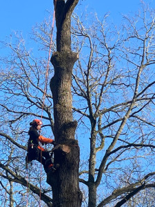 Photo de galerie - Démontage 