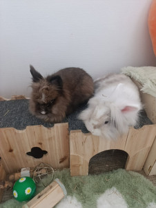 Photo de galerie - Garde animaux