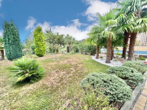 Photo de galerie - Aide à domicile