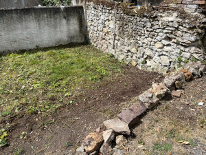Photo de galerie - Tonte de pelouse - Débroussaillage
