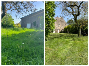 Photo de galerie - Tonte de pelouse - Débroussaillage